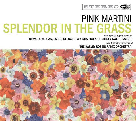 splendor in the grass pink martini lyrics
